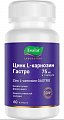 Купить цинк l-карнозин гастро, капсулы 60 шт бад в Семенове