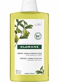 Купить klorane (клоран) шампунь тонизирующий с мякотью цитрона, 400мл в Семенове