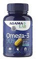 Купить agama lab (агама лаб) омега-3 90%, капсулы, 60 шт бад в Семенове