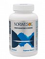 Купить норвесол омега 3, капсулы 500мг 60 шт. бад в Семенове