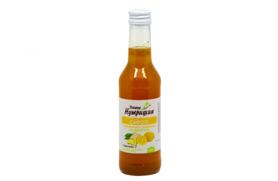 Купить сироп имбирный на фруктозе с лимоном доктор нутришин, флакон 250мл бад в Семенове