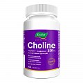 Купить холин 350мг, таблетки массой 1200мг 60 шт бад в Семенове