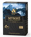 Купить мумие алтайский нектар, пластины массой 6г, 15 шт бад в Семенове