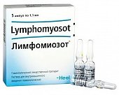 Купить лимфомиозот, раствор для внутримышечного введения гомеопатический 1,1мл, 5шт в Семенове