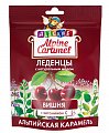 Купить alpine caramel (альпийская карамель) леденцы детские вишня с медом и витамином с , 75г бад в Семенове