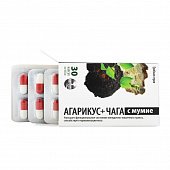 Купить агарикус+чага с мумие грибная серия, капсулы 450мг, 30 шт бад в Семенове