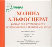 Купить холина альфосцерат, раствор для внутривенного и внутримышечного введения 250мг/мл, ампулы 4мл, 5 шт в Семенове
