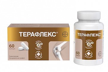 Терафлекс, капсулы 500мг+400мг, 60 шт
