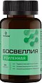 Купить босвеллия усиленная летофарм, капсулы 0,63г банка 60шт бад в Семенове