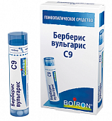 Купить берберис вульгарис с9 гранулы гомеопатические 4г в Семенове