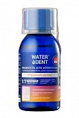 Купить waterdent (вотердент) жидкость для ирригатора утренний детокс + ополаскиватель, 100мл в Семенове