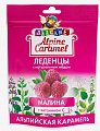 Купить alpine caramel (альпийская карамель) леденцы детские малина с медом и витамином с , 75г бад в Семенове