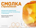 Купить витатека (vitateka) смолка жевательная лиственничная с прополисом, 5 шт  в Семенове