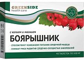 Купить green side (грин сайд) боярышник с калием и магнием, таблетки  40 шт. бад в Семенове