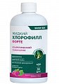 Купить snow sea хлорофилл форте жидкий со вкусом малины и мяты, 450 мл бад в Семенове