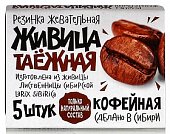 Купить живица таежная, жевательная резинка с экстрактом кофейных зёрен, 5 шт в Семенове